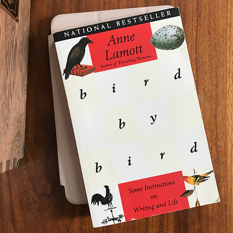 Bird by Bird book